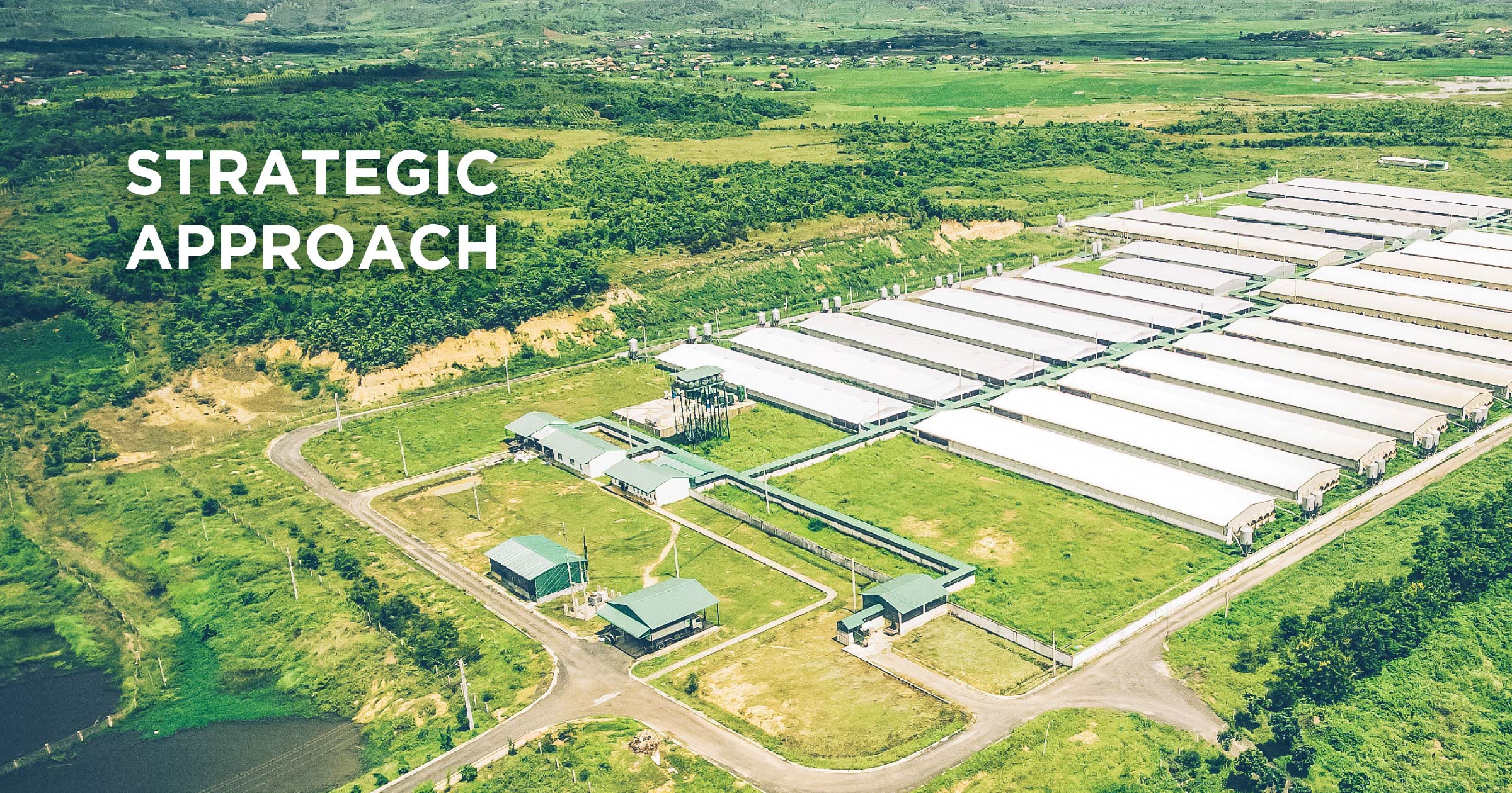 STRATEGIC APPROACH - SUSTAINABILITY REPORT 2021