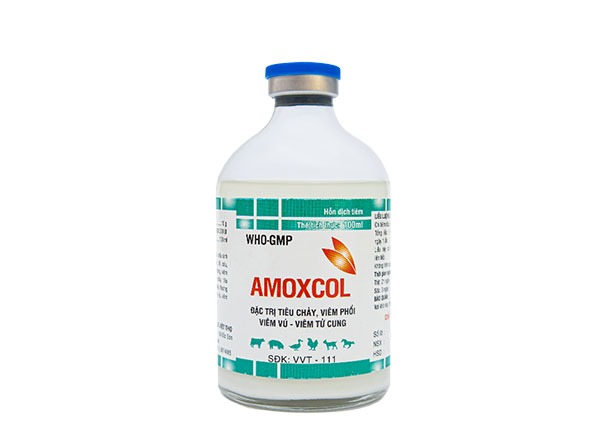 AMOXCOL