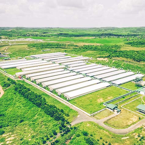 LIVESTOCK BARN, SHELTER TECHNOLOGY AND EQUIPMENT