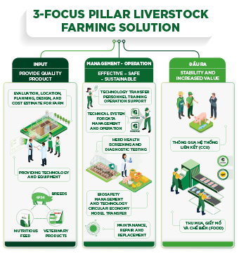 3-FOCUS PILLAR LIVERSTOCK FARMING SOLUTION