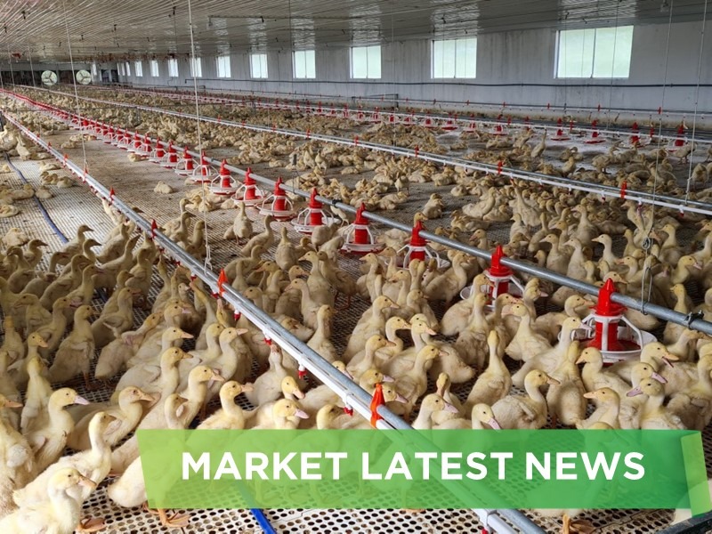 NEWS HEADLINES OF MARCH 2025
