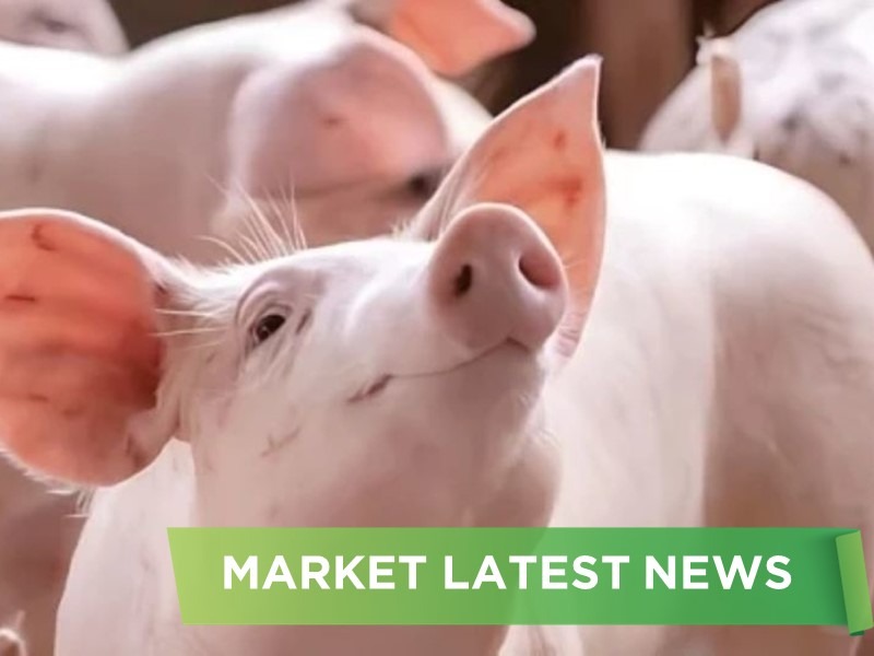 NEWS HEADLINES OF JANUARY 2025