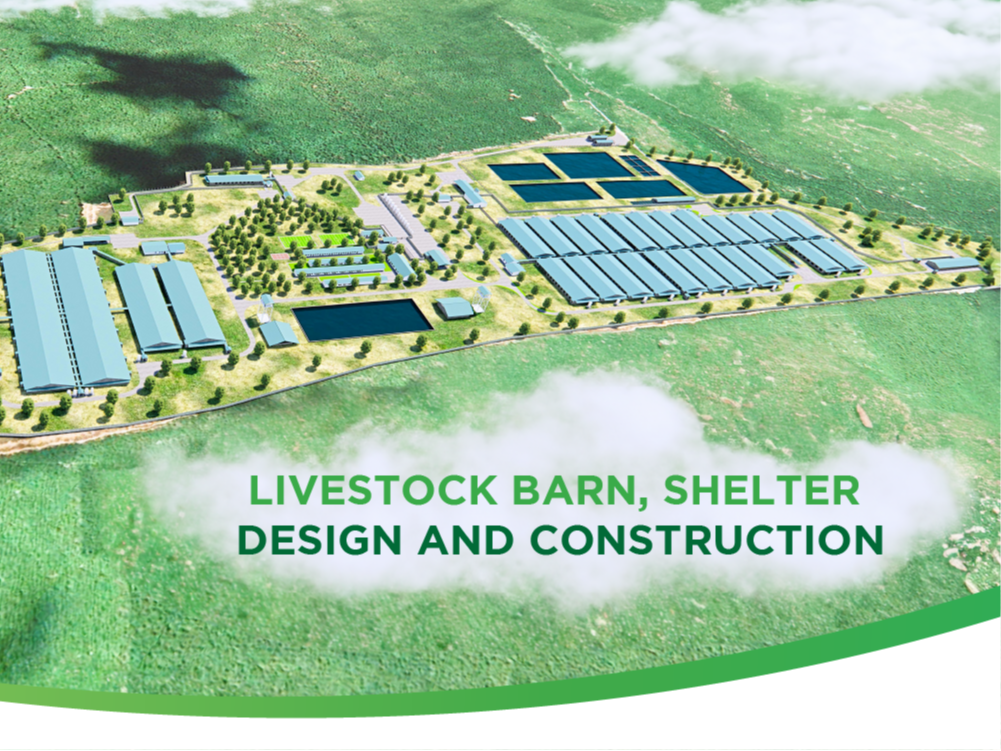 DESIGN AND CONSTRUCTION OF SCIENTIFIC AND EFFECTIVE BARNS, SHELTERS WITH A TEAM OF GREENFEED EXPERTS