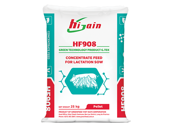 Concentrate feed for lactation sow (HF908)