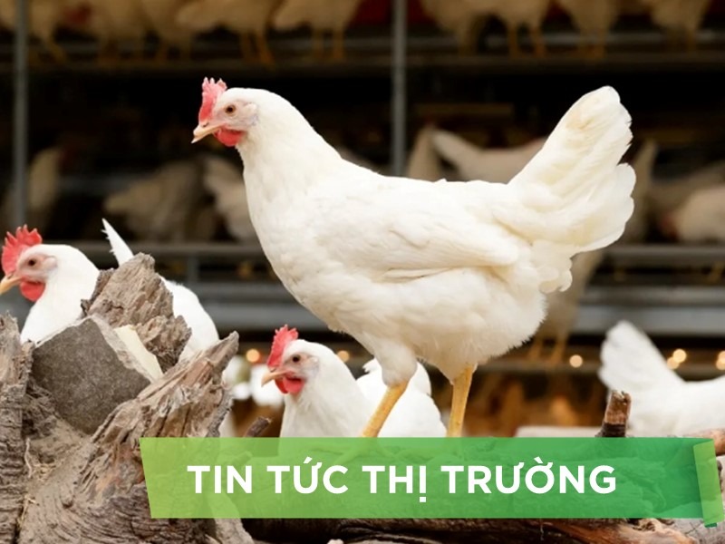 ĐIỂM TIN NỔI BẬT THÁNG 08/2025