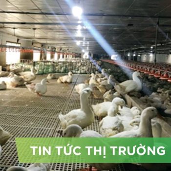 ĐIỂM TIN NỔI BẬT THÁNG 7/2024