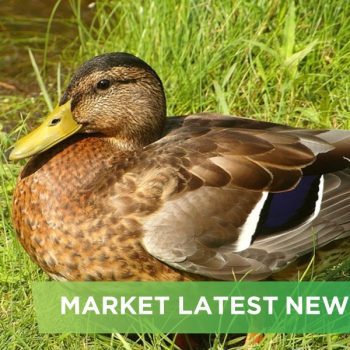 NEWS HEADLINES OF AUGUST 2024