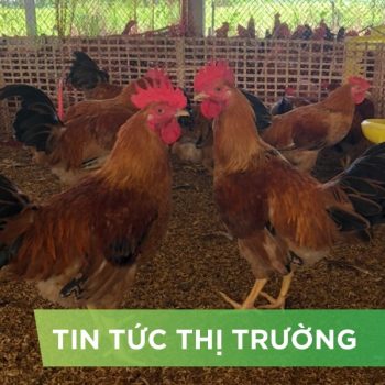 ĐIỂM TIN NỔI BẬT THÁNG 9/2024