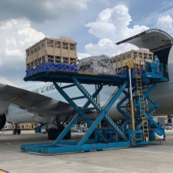 GREENFEED PHÁT TRIỂN CHĂN NUÔI BỀN VỮNG VỚI NGUỒN HEO GIỐNG NHẬP KHẨU