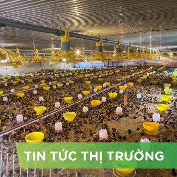 ĐIỂM TIN NỔI BẬT THÁNG 10/2024