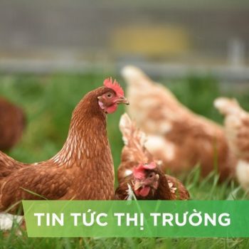 ĐIỂM TIN NỔI BẬT THÁNG 11/2024