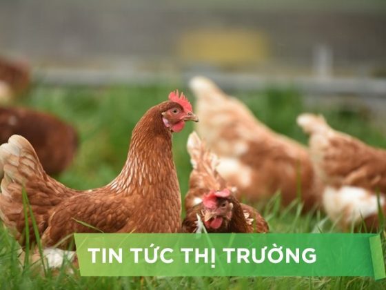 ĐIỂM TIN NỔI BẬT THÁNG 11/2024