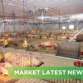 NEWS HEADLINES OF NOVEMBER  2024