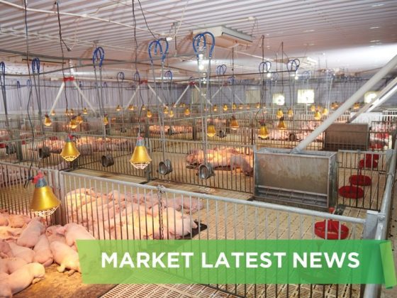 NEWS HEADLINES OF NOVEMBER  2024