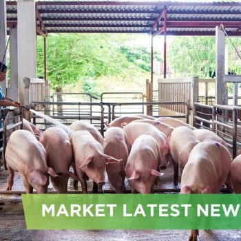 NEWS HEADLINES OF DECEMBER  2024