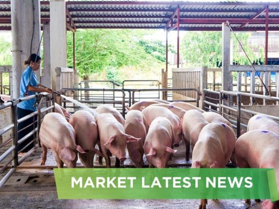 NEWS HEADLINES OF DECEMBER  2024