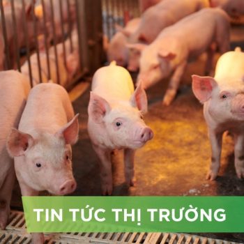 ĐIỂM TIN NỔI BẬT THÁNG 12/2024