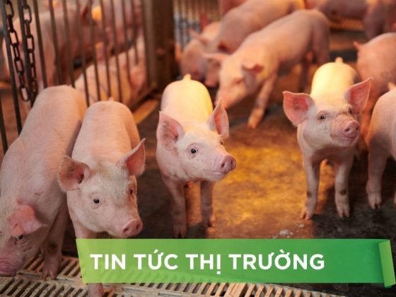 ĐIỂM TIN NỔI BẬT THÁNG 12/2024