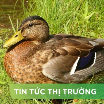 ĐIỂM TIN NỔI BẬT THÁNG 01/2025