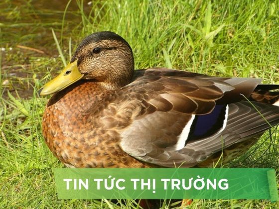 ĐIỂM TIN NỔI BẬT THÁNG 01/2025
