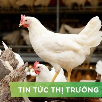ĐIỂM TIN NỔI BẬT THÁNG 02/2025