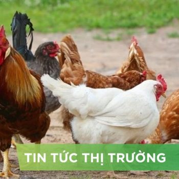 ĐIỂM TIN NỔI BẬT THÁNG 03/2025