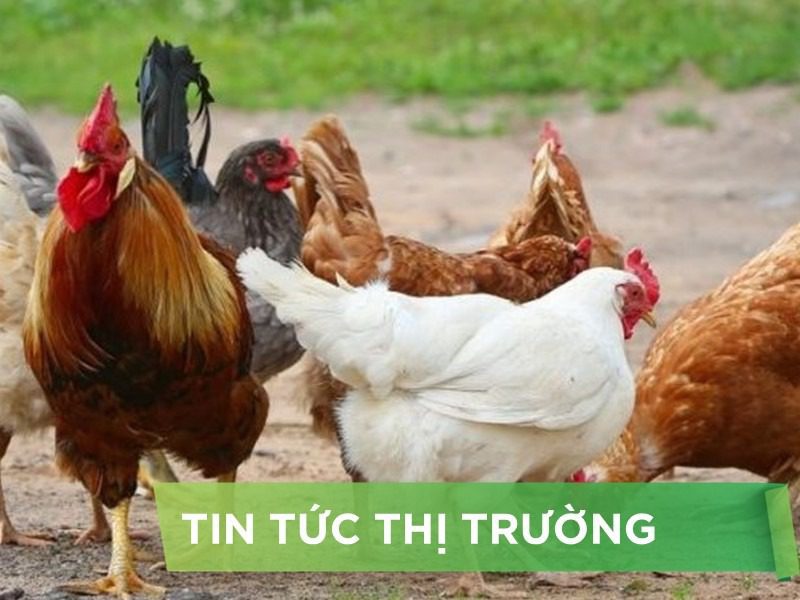 ĐIỂM TIN NỔI BẬT THÁNG 03/2025
