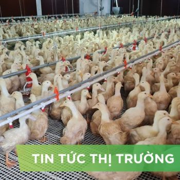 ĐIỂM TIN NỔI BẬT THÁNG 04/2025