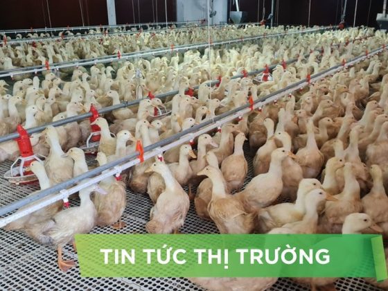 ĐIỂM TIN NỔI BẬT THÁNG 04/2025