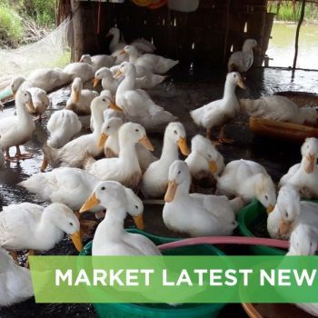 NEWS HEADLINES OF MAY 2025