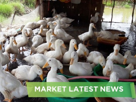 NEWS HEADLINES OF MAY 2025