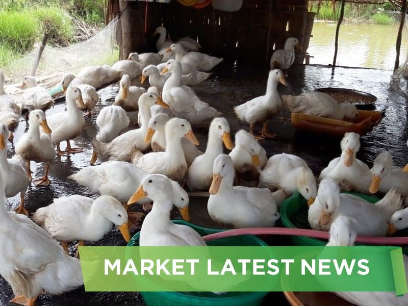 NEWS HEADLINES OF MAY 2025