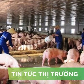 ĐIỂM TIN NỔI BẬT THÁNG 05/2025