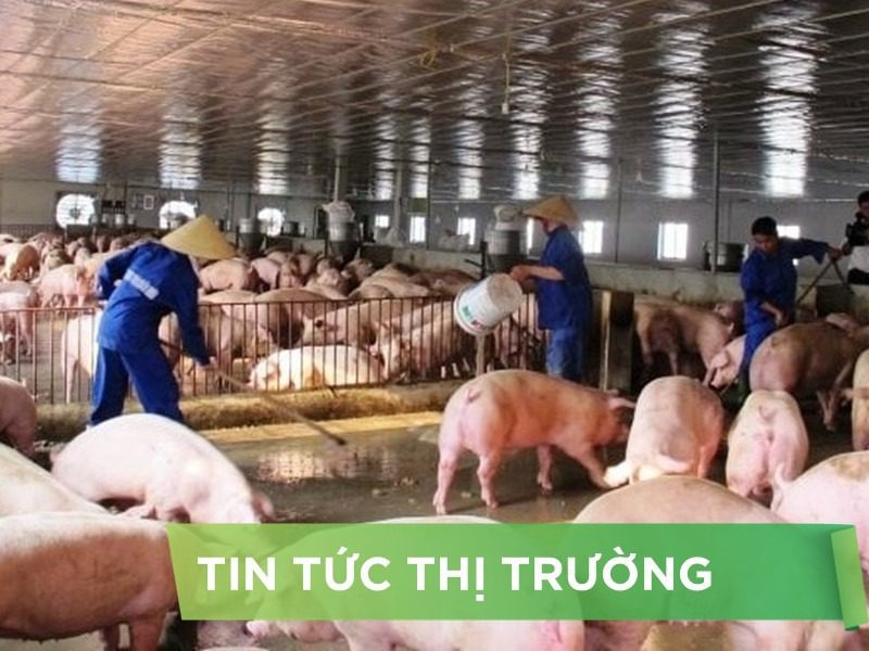 ĐIỂM TIN NỔI BẬT THÁNG 05/2025