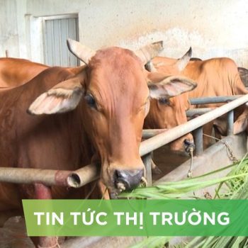 ĐIỂM TIN NỔI BẬT THÁNG 06/2025