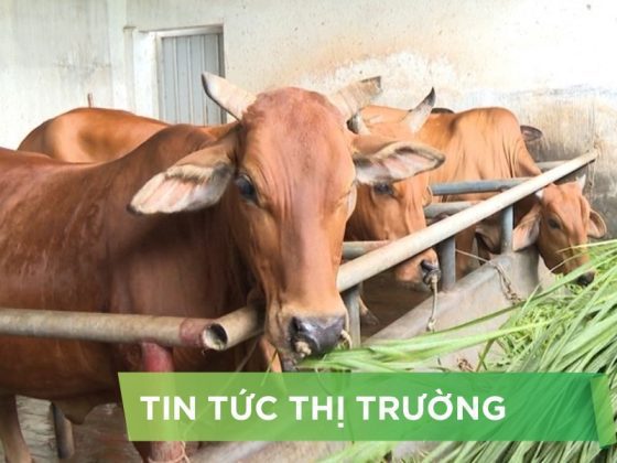 ĐIỂM TIN NỔI BẬT THÁNG 06/2025