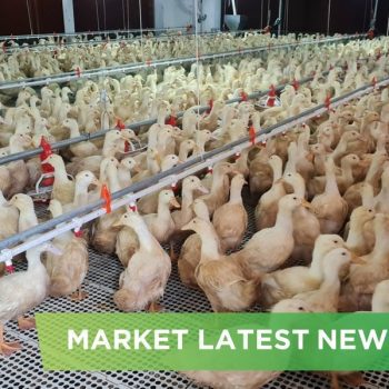 NEWS HEADLINES OF APRIL 2025