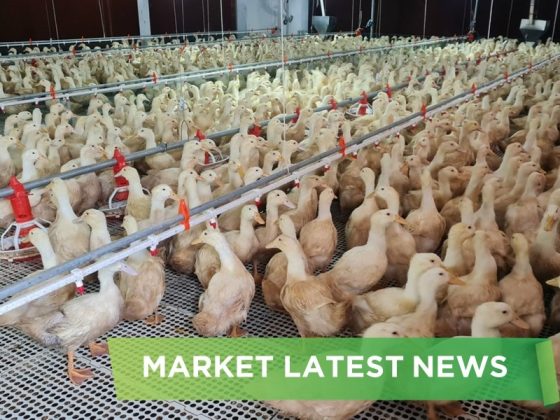 NEWS HEADLINES OF APRIL 2025