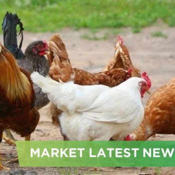 NEWS HEADLINES OF JUNE 2025