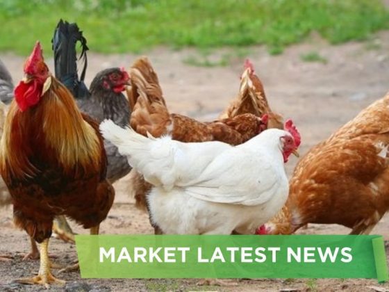 NEWS HEADLINES OF JUNE 2025