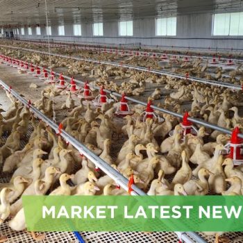 NEWS HEADLINES OF MARCH 2025