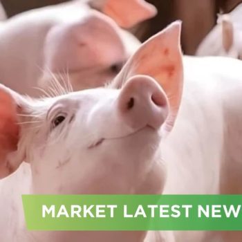 NEWS HEADLINES OF OCTOBER 2024