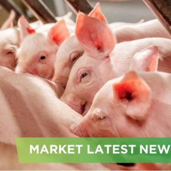 NEWS HEADLINES OF JULY  2025