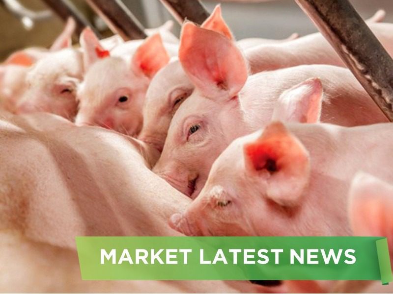 NEWS HEADLINES OF JULY  2025