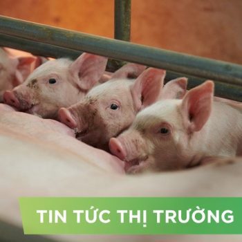 ĐIỂM TIN NỔI BẬT THÁNG 07/2025