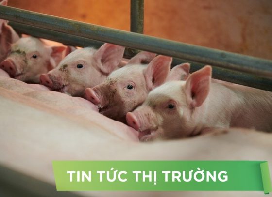 ĐIỂM TIN NỔI BẬT THÁNG 07/2025