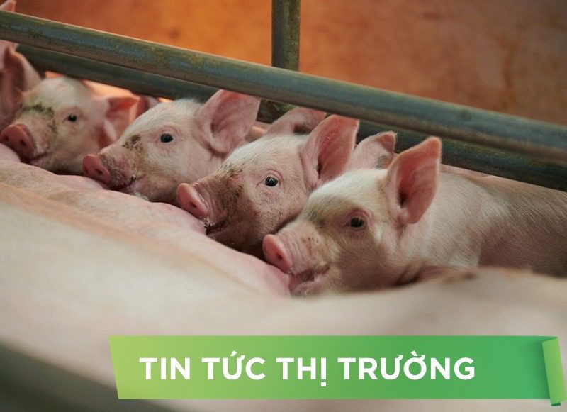 ĐIỂM TIN NỔI BẬT THÁNG 07/2025