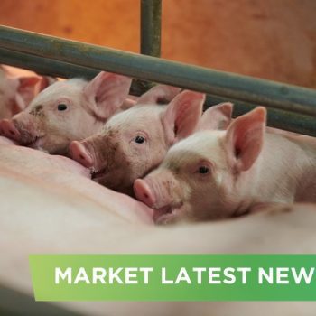 NEWS HEADLINES OF SEPTEMBER 2025