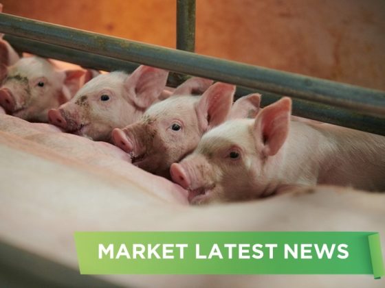 NEWS HEADLINES OF SEPTEMBER 2025