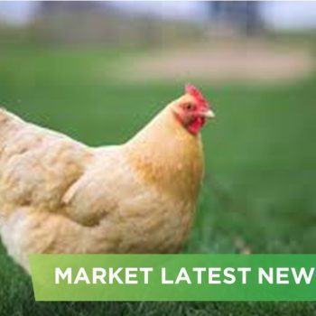 NEWS HEADLINES OF AUGUST 2025